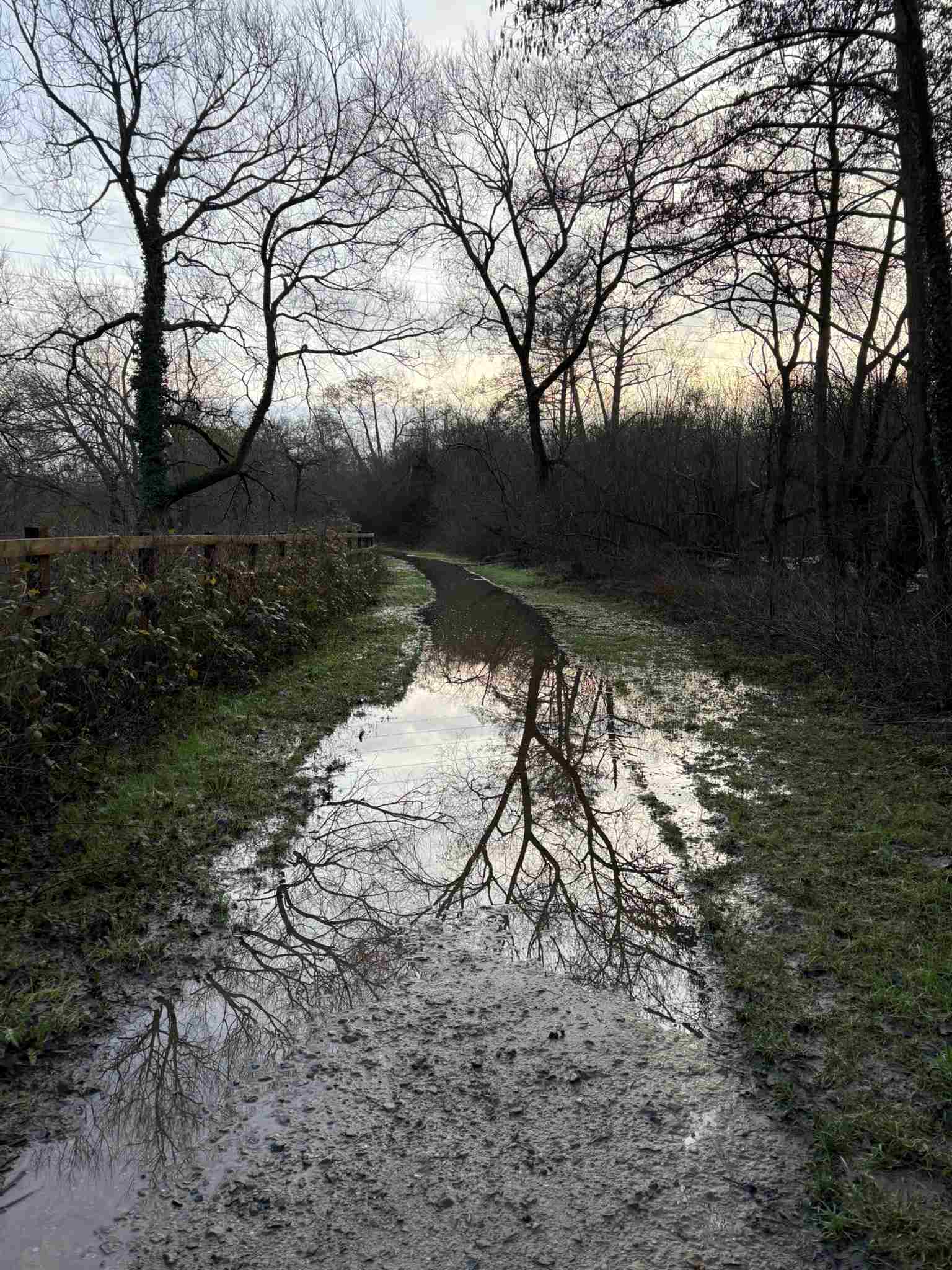  A view of the path walking towards Mortimers Meadow bridge.